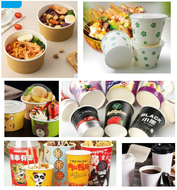 manufacturer-of-Cup-Forming-Bottom-开云体育官网最新下载地址查询Paper-in-Roll-13